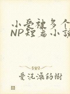 小受被多个攻强NP短篇小说