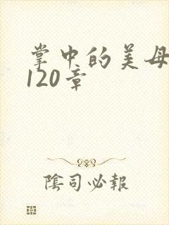 掌中的美母版主120章