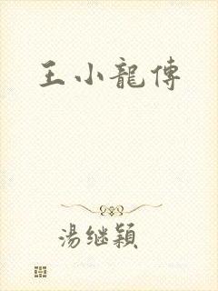 王小龙传