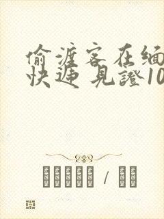 偷渡客在缅北送快递 见证100种逃亡