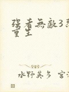 强者无敌3烈火重生