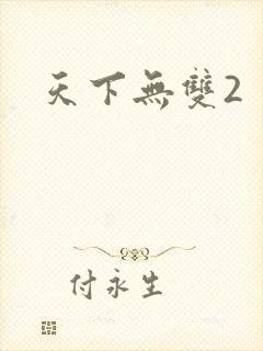 天下无双2