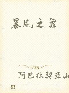 暴风之舞