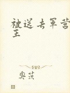 被送去军营的公主