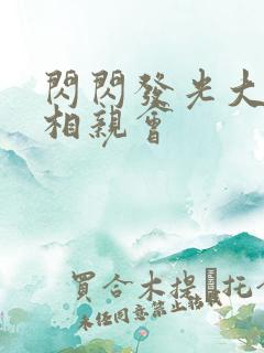 闪闪发光大团圆相亲会