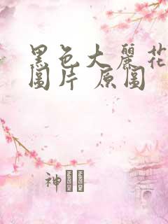 黑色大丽花真实图片 原图