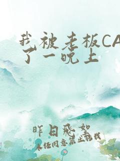 我被老板CAO了一晚上