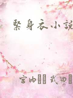 紧身衣小说