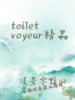 toilet voyeur精品