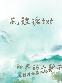 风玫瑰txt