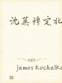 沈芜穆定北小说