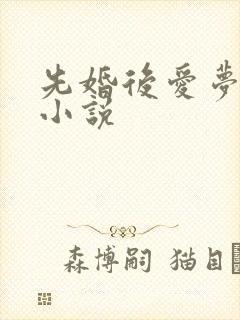 先婚后爱梦筱二小说
