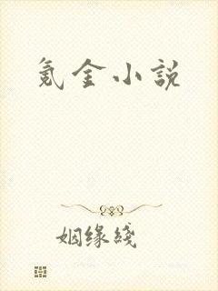 氪金小说
