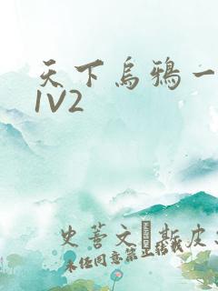天下乌鸦一般黑1V2