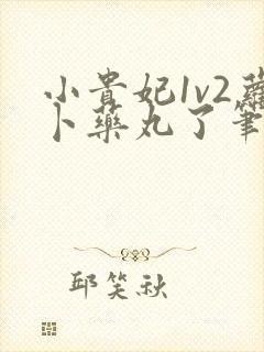 小贵妃1v2萝卜药丸了笔趣阁