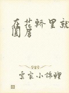 在花轿里就开始圆房