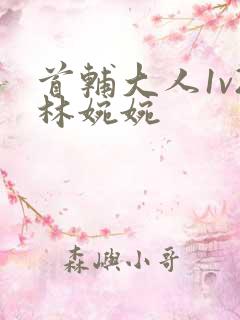 首辅大人1v2林婉婉