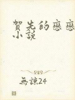 贺先的恋恋不忘小说