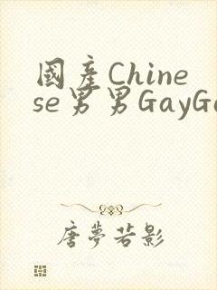 国产Chinese男男GayGayAPP