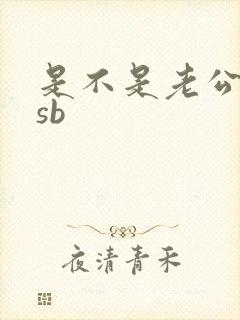 是不是老公的小sb