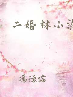 二婚 林小染