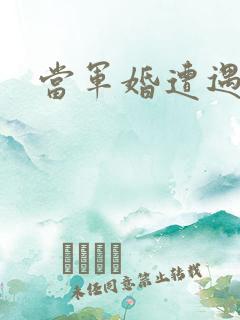 当军婚遭遇爱情