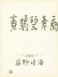 寡妇的春天白花儿刘三斤阅读