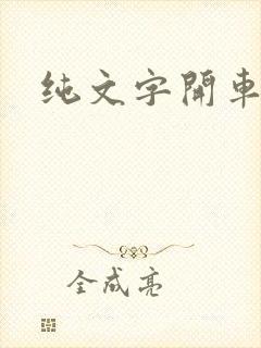 纯文字开车