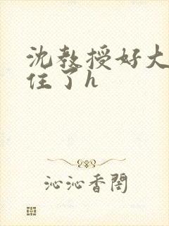 沈教授好大含不住了h