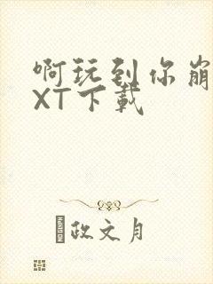 啊玩到你崩溃TXT下载