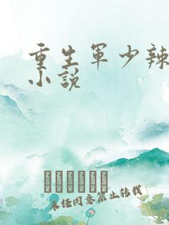 重生军少辣娇妻小说