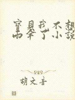 宝贝我不想带小雨伞了小说