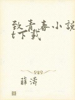 致青春小说txt下载