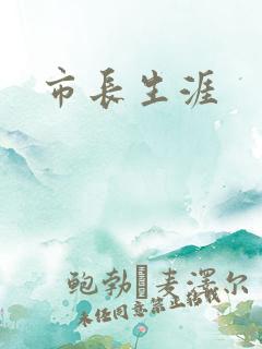 市长生涯