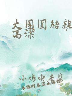 大团圆结亲情会高洁