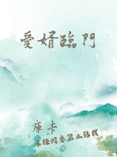 爱婿临门