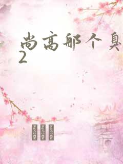 尚高那个臭小子2