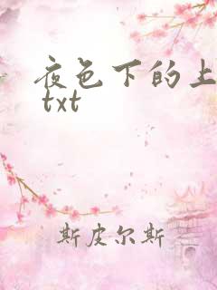 夜色下的上海滩 txt