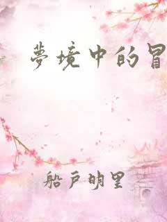 梦境中的冒险家