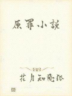 原罪小说