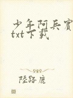 少年阿兵宾小说txt下载