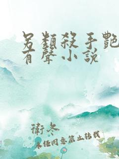 另类杀手艳福星有声小说