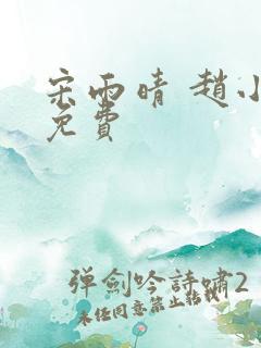 宋雨晴 赵小刚免费