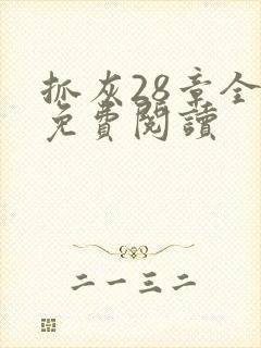 抓灰28章全部免费阅读