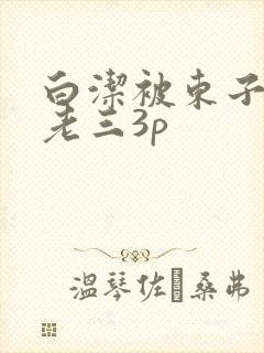 白洁被东子老二老三3p
