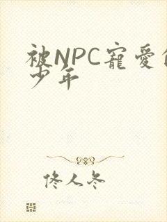 被NPC宠爱的少年