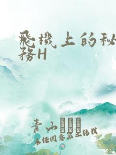 飞机上的秘密服务H