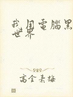 我用电脑黑了全世界