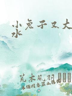 小兔子又大又多水