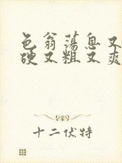 色翁荡息又大又硬又粗又爽